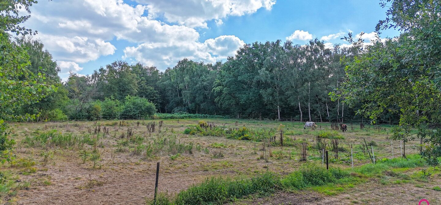 Weide te koop in Heusden-Zolder